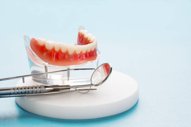 Egypt, PA  Holistic Dental Services Company